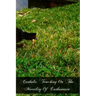 Catholic Teaching On The Morality Of Euthanasia