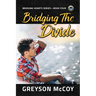 Bridging the Divide: Volume 4