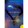 The Promise of Stardust