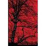 The Raven with Literary and Historical Commentary (Heathen Edition)