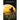 Spirit Sight: Volume Two