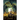The Arkan Path
