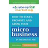 Micro Enterprise Marketing: How to Start, Promote and Grow Your Micro Business in the Digital Age
