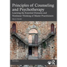 Principles of Counseling and Psychotherapy: Learning the Essential Domains and Nonlinear Thinking of Master Practitioners
