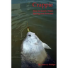 Crappie: How to Catch Them Spring and Summer