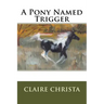 A Pony Named Trigger