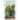 The Spiritual Gardener: Insights from the Jewish Tradition to Help Your Garden Grow