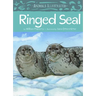 Animals Illustrated: Ringed Seal