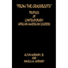 From the Grassroots - Profiles of Contemporary African American Leaders