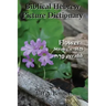 Biblical Hebrew Picture Dictionary