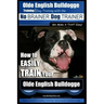 Olde English Bulldogge Training Dog Training with the No BRAINER Dog TRAINER We Make it THAT Easy!: How to EASILY TRAIN Your Olde English Bulldogge