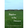 Bigelow in the Distance