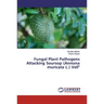 Fungal Plant Pathogens Attacking Soursop (Annona muricata L.) Vell"