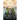 Know My Voice VII: The King, The Kingdom, The Citizens Recognizing and Entering The Kingdom