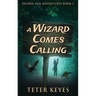 A Wizard Comes Calling