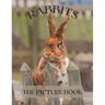 Rabbits: The Picture Book of Cute Rabbits Perfect Gift for Patients, Seniors & Dementia