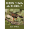 Bighorn, Pelicans and Wild Turkeys