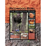 Redwood Burl: The Definitive Guide