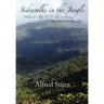 Sidewalks in the Jungle: What It's REALLY Like to Live and Retire in Costa Rica