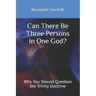 Can There Be Three Persons in One God?: Why You Should Question the Trinity Doctrine