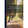 The Pecan, And How To Grow It