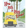 How Big is Big Enough?