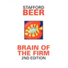 Brain of the Firm