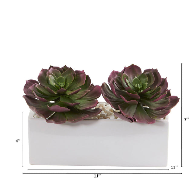 11” Echeveria Succulent Artificial Plant in White Planter by Nearly Natural