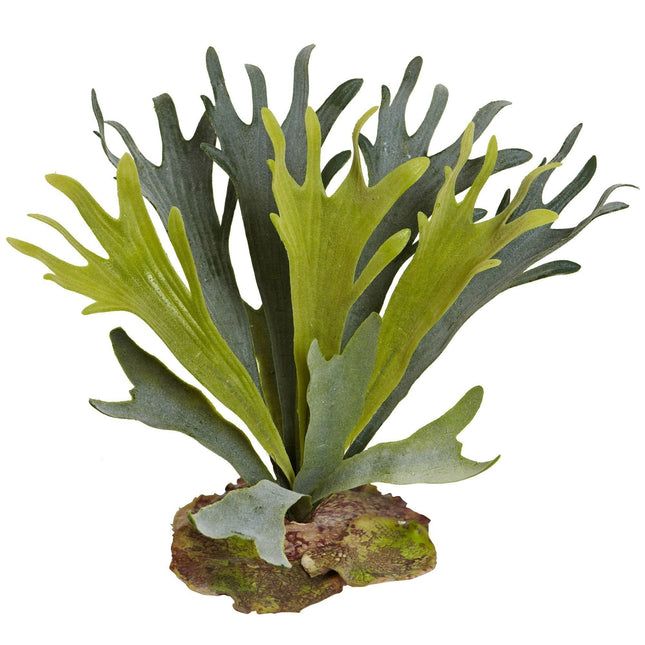 14” Staghorn Artificial Plant (Set of 6) by Nearly Natural