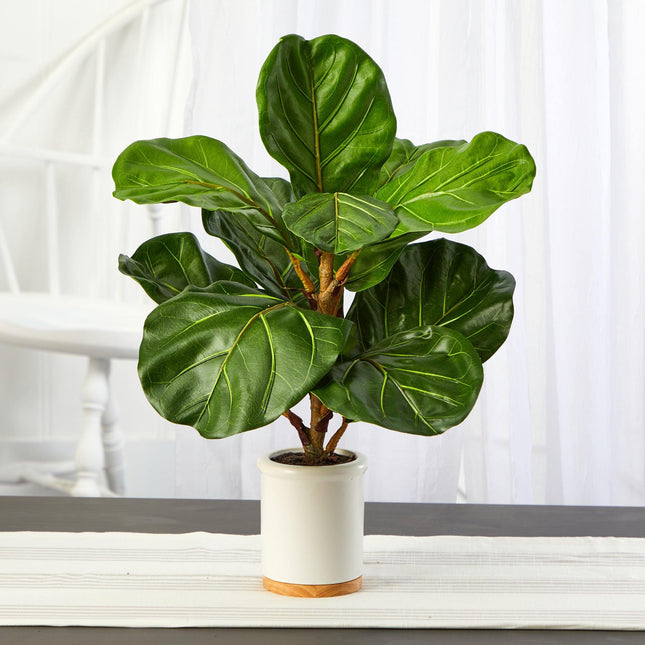 21” Fiddle Leaf Artificial Tree in White Ceramic Planter by Nearly Natural