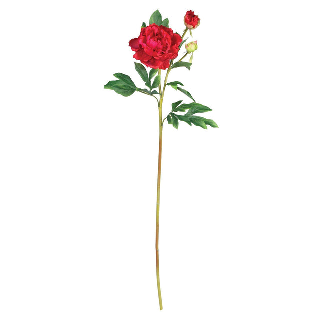 38.5" Peony w/Leaves Stem (Set of 12)" by Nearly Natural