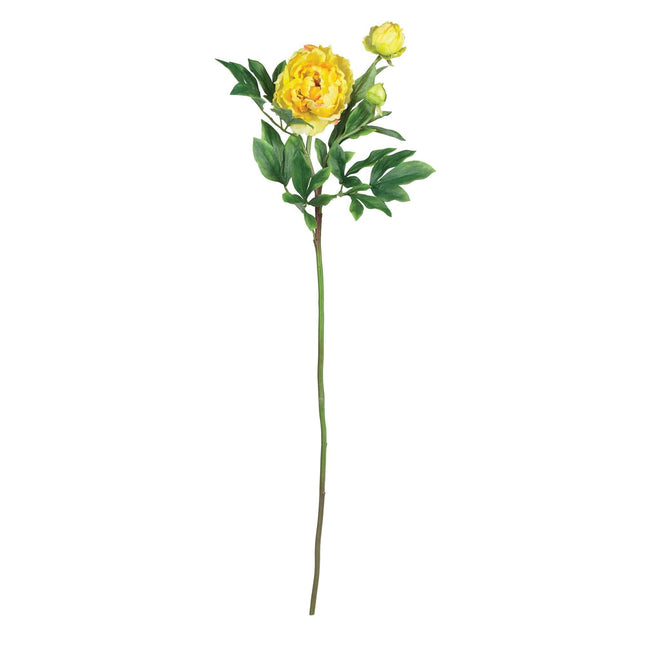 38.5" Peony w/Leaves Stem (Set of 12)" by Nearly Natural