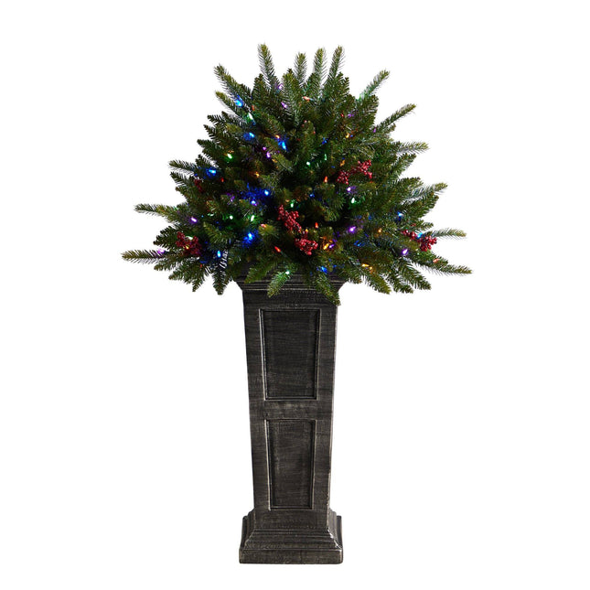 4' Holiday Christmas Tree Plant Pre-Lit and Glittered on Pedestal with 150 Multicolored LED lights by Nearly Natural