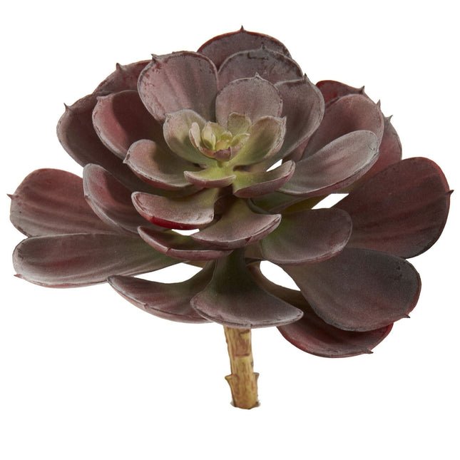 6” Echeveria Succulent (Set of 12) by Nearly Natural