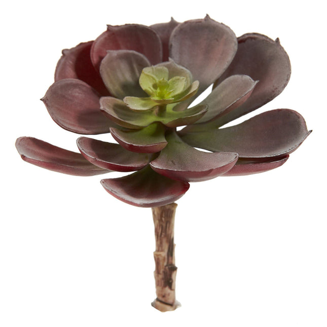 6” Artificial Echeveria Succulent (Set of 12) by Nearly Natural