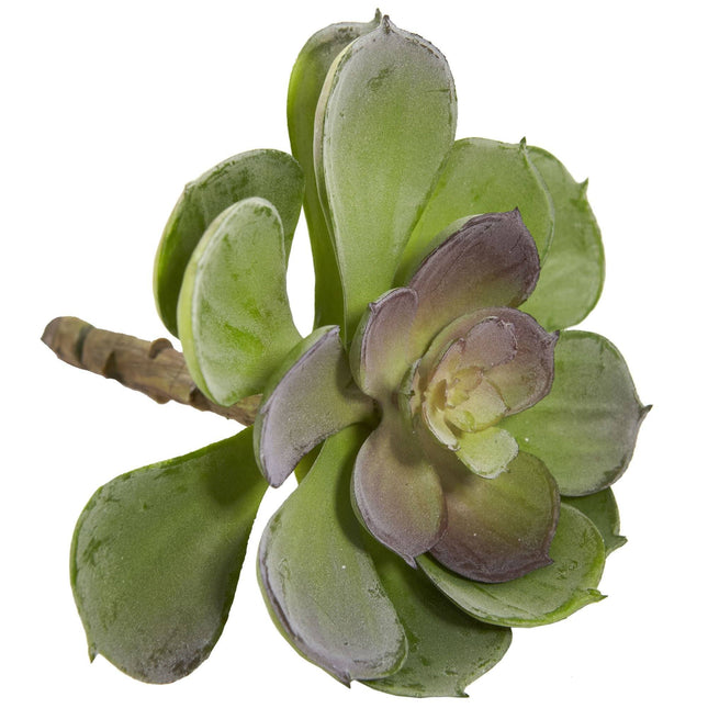 6” Artificial Echeveria Succulent (Set of 12) by Nearly Natural