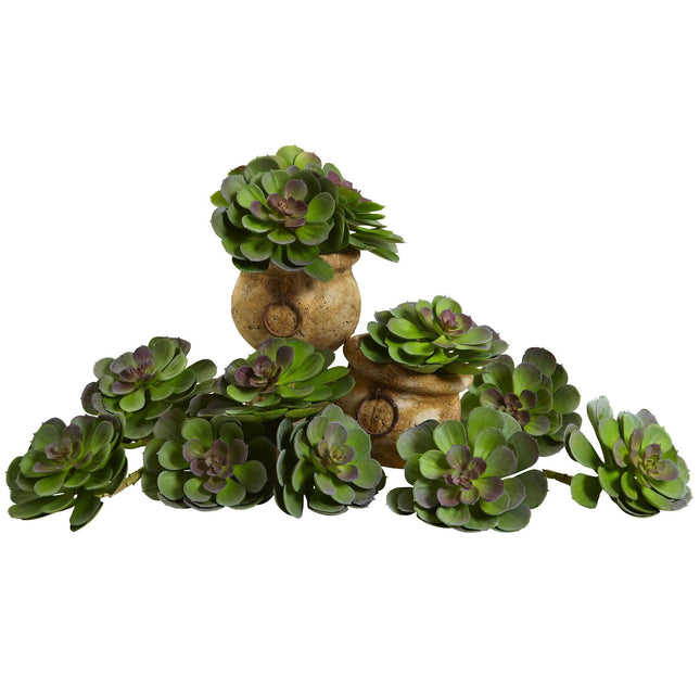 6” Echeveria Succulent (Set of 12) by Nearly Natural
