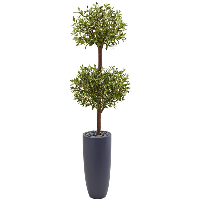 6’ Olive Double Tree in Gray Cylinder Planter by Nearly Natural