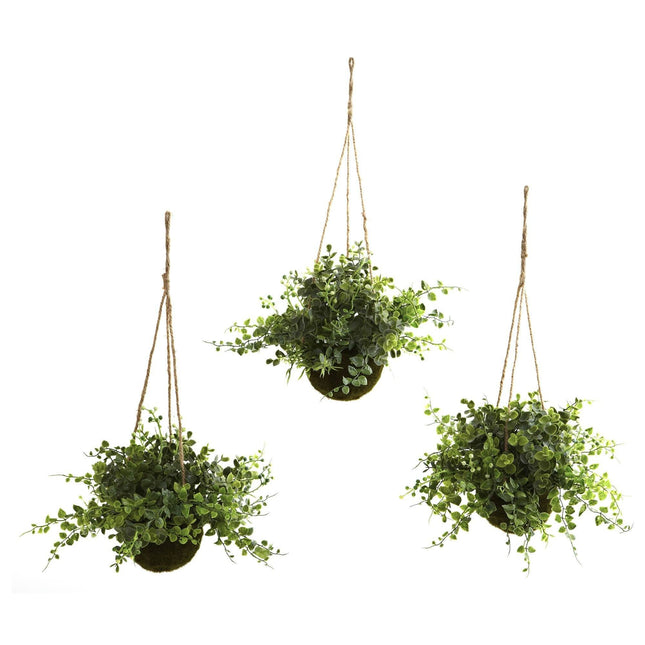 Eucalyptus, Maiden Hair & Berry Hanging Basket (Set of 3) by Nearly Natural