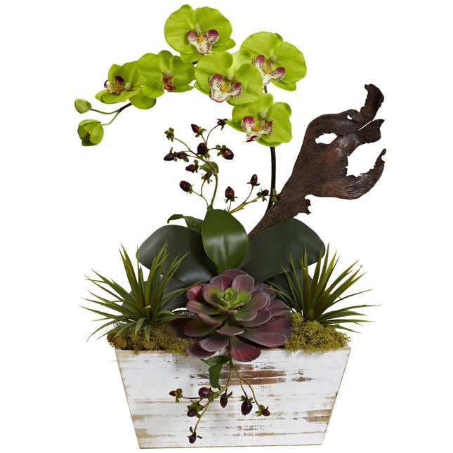 Orchid & Succulent Garden with White Wash Planter by Nearly Natural