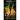 Quest Into Oblivion