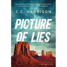 Picture of Lies