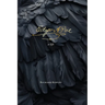 Edgar Allan Poe: A Life