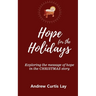 Hope for the Holidays: Exploring the Message of HopeIn the Christmas Story