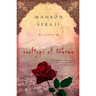 Rooftops of Tehran