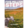 Five Million Steps: Faith Adventures along the Appalachian Trail