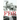 FDR