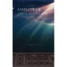 Amplitude