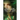 Phantom Whispers