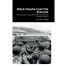 Black Hawks Over the Danube: The History of the 86th Infantry Division in World War II